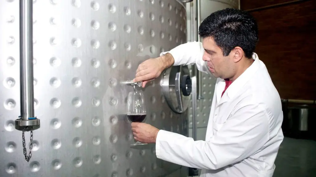 Wine Plant Image 3